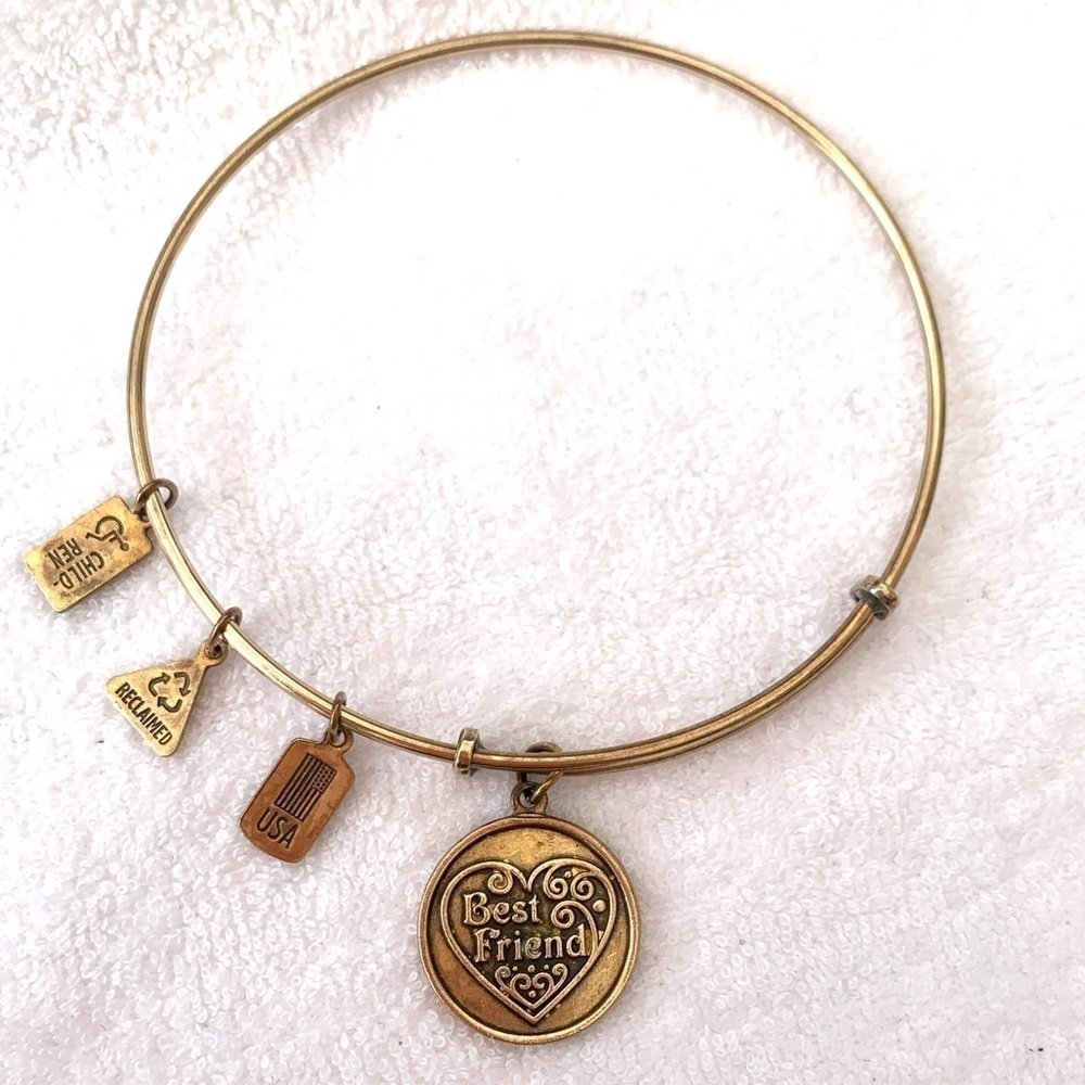 Wind & Fire Best Friend Charm Bracelet Gold Finish Expandable 2”- 3.5”